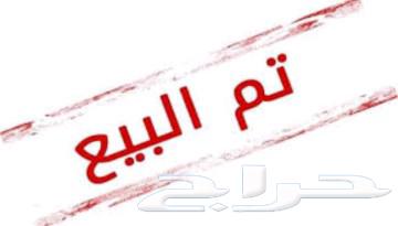 فروخ كوشن63065597357443116