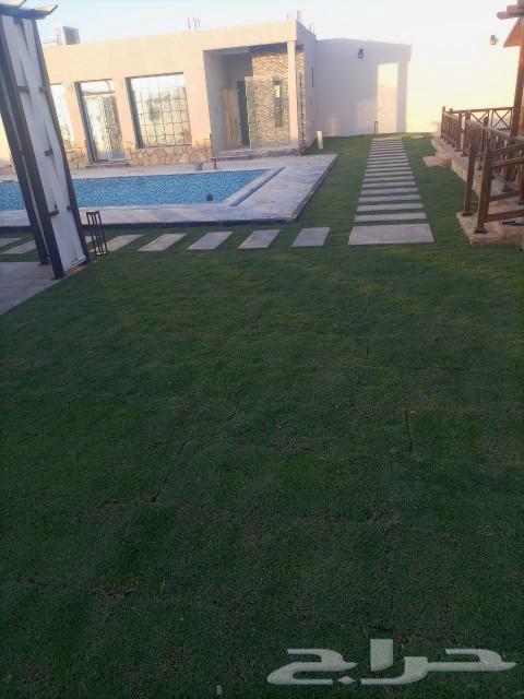 ٢٠٢٥63082534075137111
