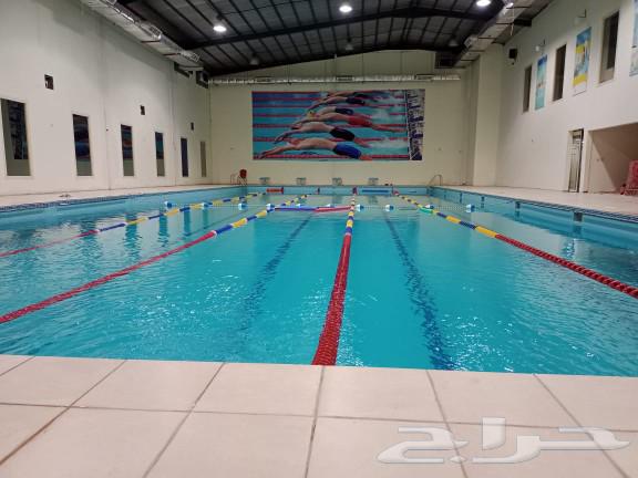 Swimming exercises, karate, football, gymnastics and kickboxing630544686641951117