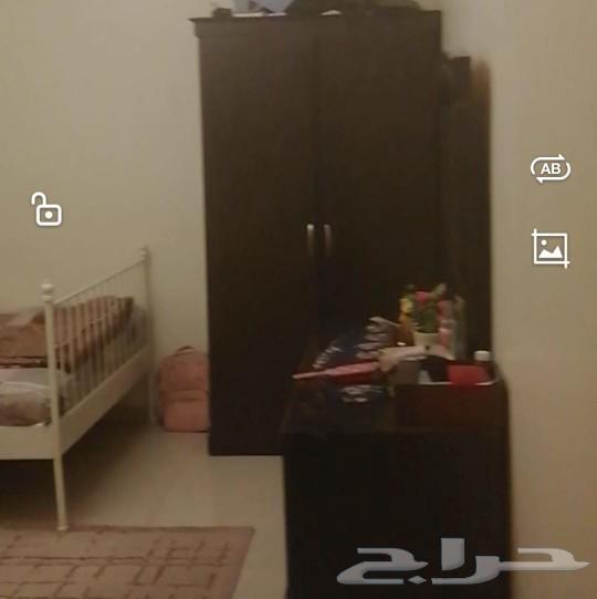 الدمام العدامه الجديده630528329688341120