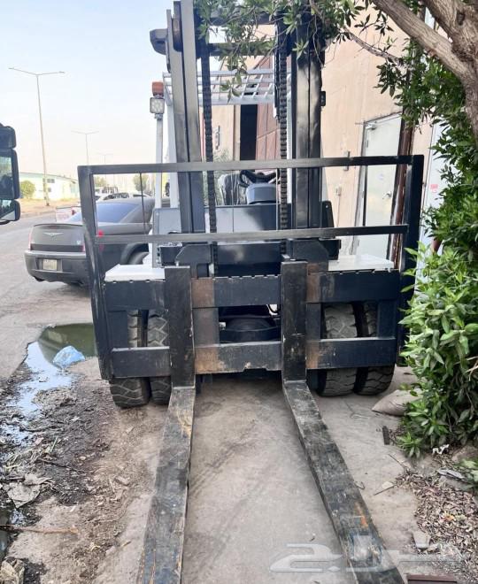 Raphia spines for rent63078422610305112