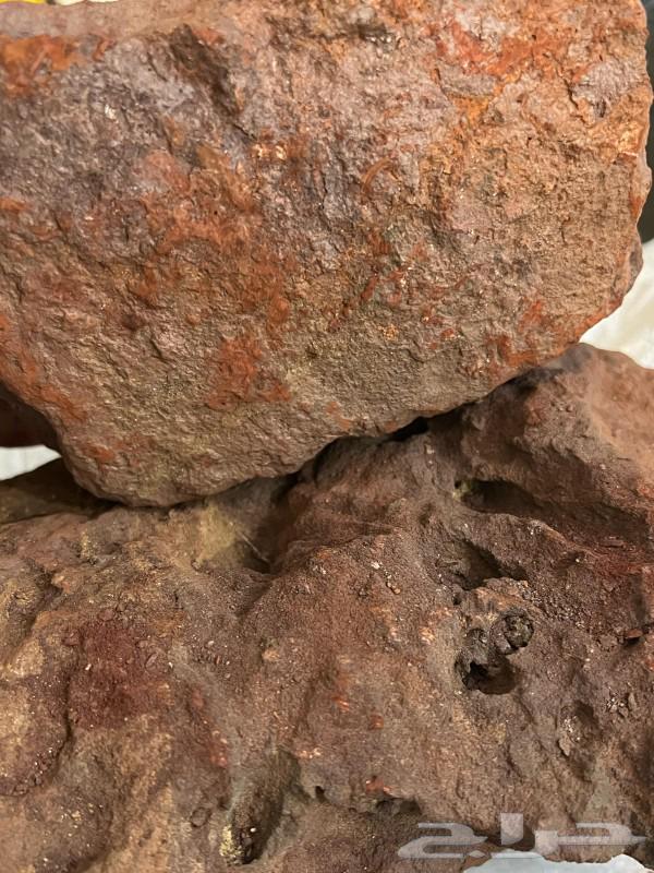 A stone of Samud from the Hejaz63052445962753112
