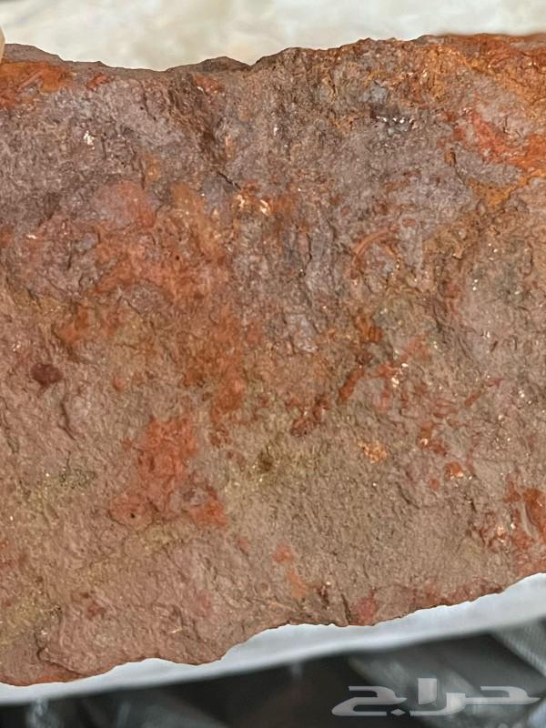 A stone of Samud from the Hejaz63052445962753111