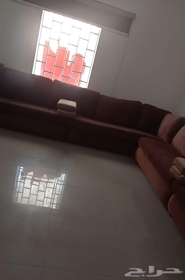 كنب مجلس سليم اللون بني سته في اربعه63053656971009112