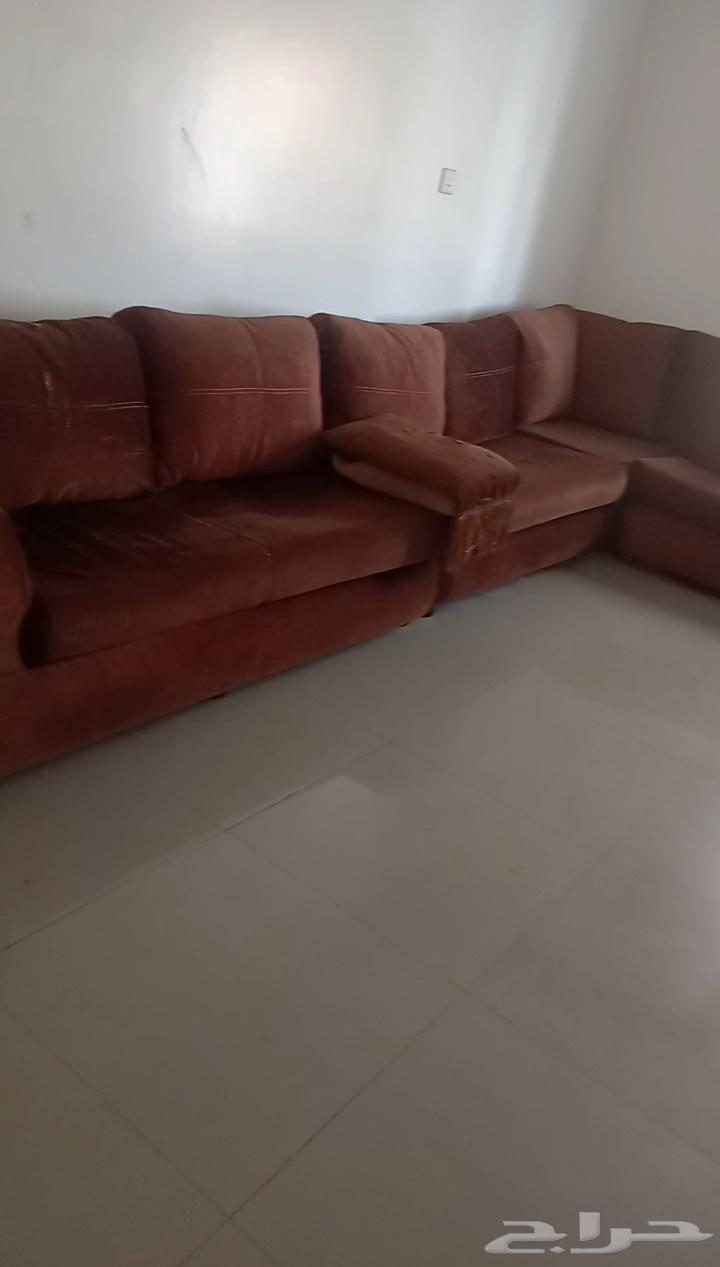 كنب مجلس سليم اللون بني سته في اربعه63053656971009111