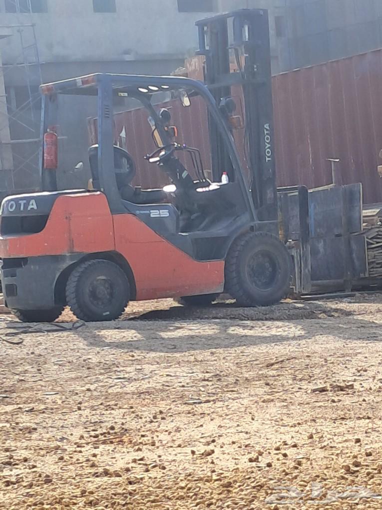 Raphia spines for rent63078422610305113