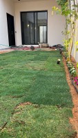Timer irrigation networks Agricultural plumber Natural Angel63052079778945114