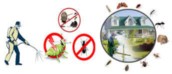Insect control company, insect spraying, cockroach control in Mecca63014755350785114