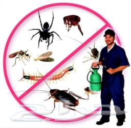 Insect control company, insect spraying, cockroach control in Mecca63014755350785113