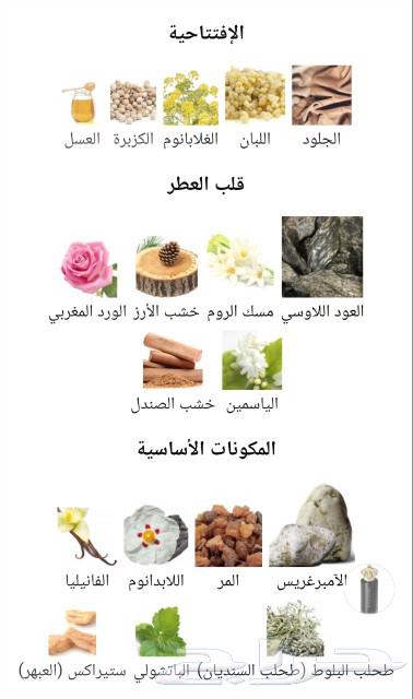 An Italian perfume worth 4700 riyals63149318694018113