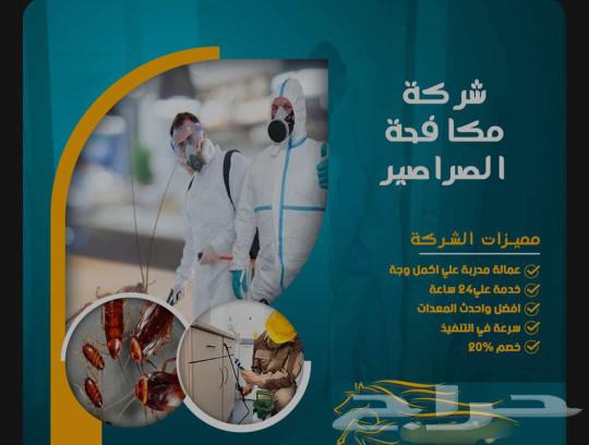 Insect control company, insect spraying, cockroach control in Mecca63014755350785112