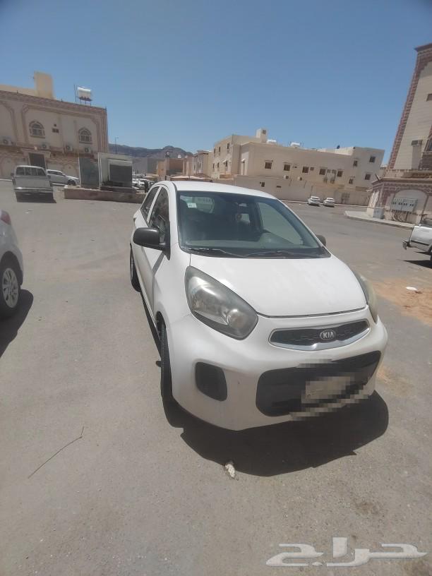 Kia Picanto 2017 car63076434780929114