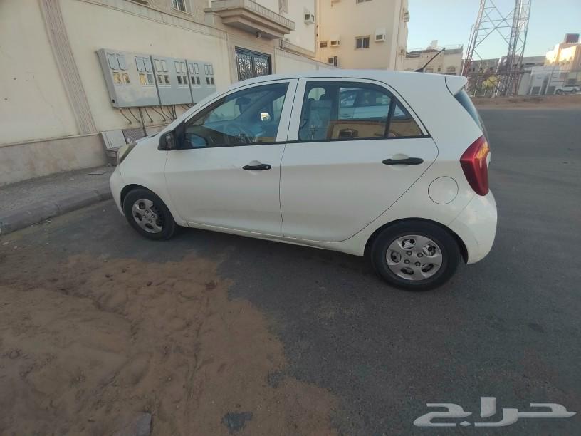 Kia Picanto 2017 car63076434780929112