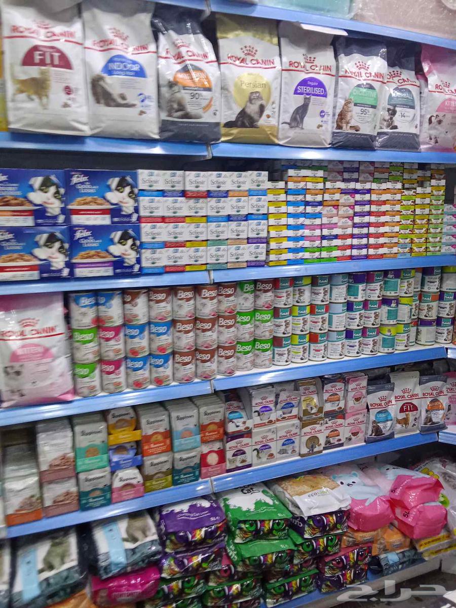 متوفر لدينا كل مستلزمات القطط الاليفه وطيور الزينه يوجد63048267286785113