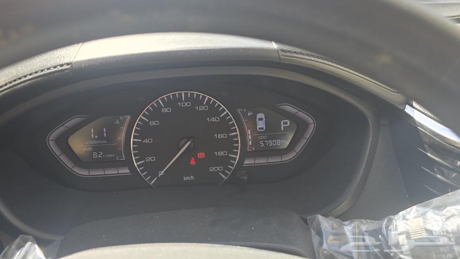 شانجان السفن 2020 فل63064231828993114