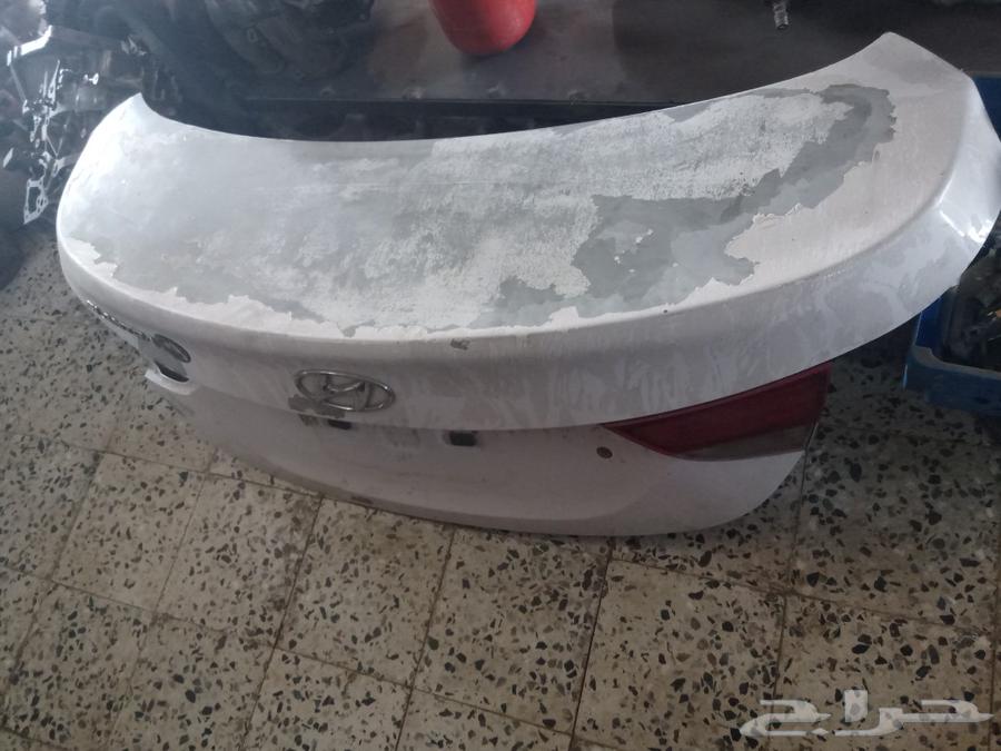 بابشنطة لنتراء 201563065049722113113