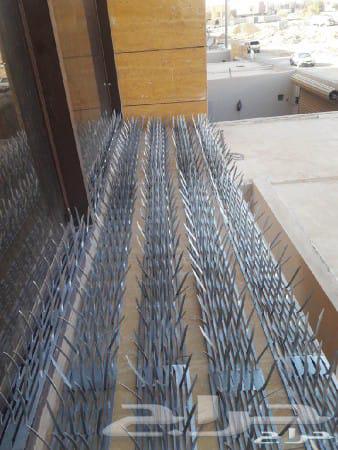 Pigeon proofing and pigeon deterrent installation company, and selling pigeon spikes in Jeddah63016109921665111