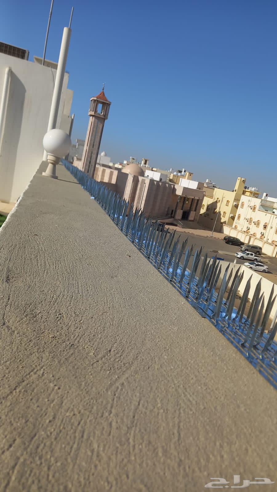 Pigeon proofing and pigeon deterrent installation company, and selling pigeon spikes in Jeddah63016109921665113
