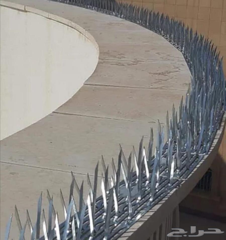 Pigeon proofing and pigeon deterrent installation company, and selling pigeon spikes in Jeddah63016109921665112