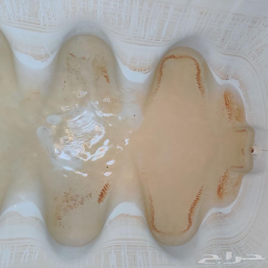 شركة تنظيف بجازان كنب مجالس خزانات شقق فلل سجاد مساجد63014284505474113
