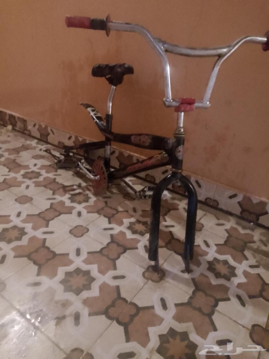 Selling cobra body urgent sale no exchange for bird marriage cycle new63041620140673111