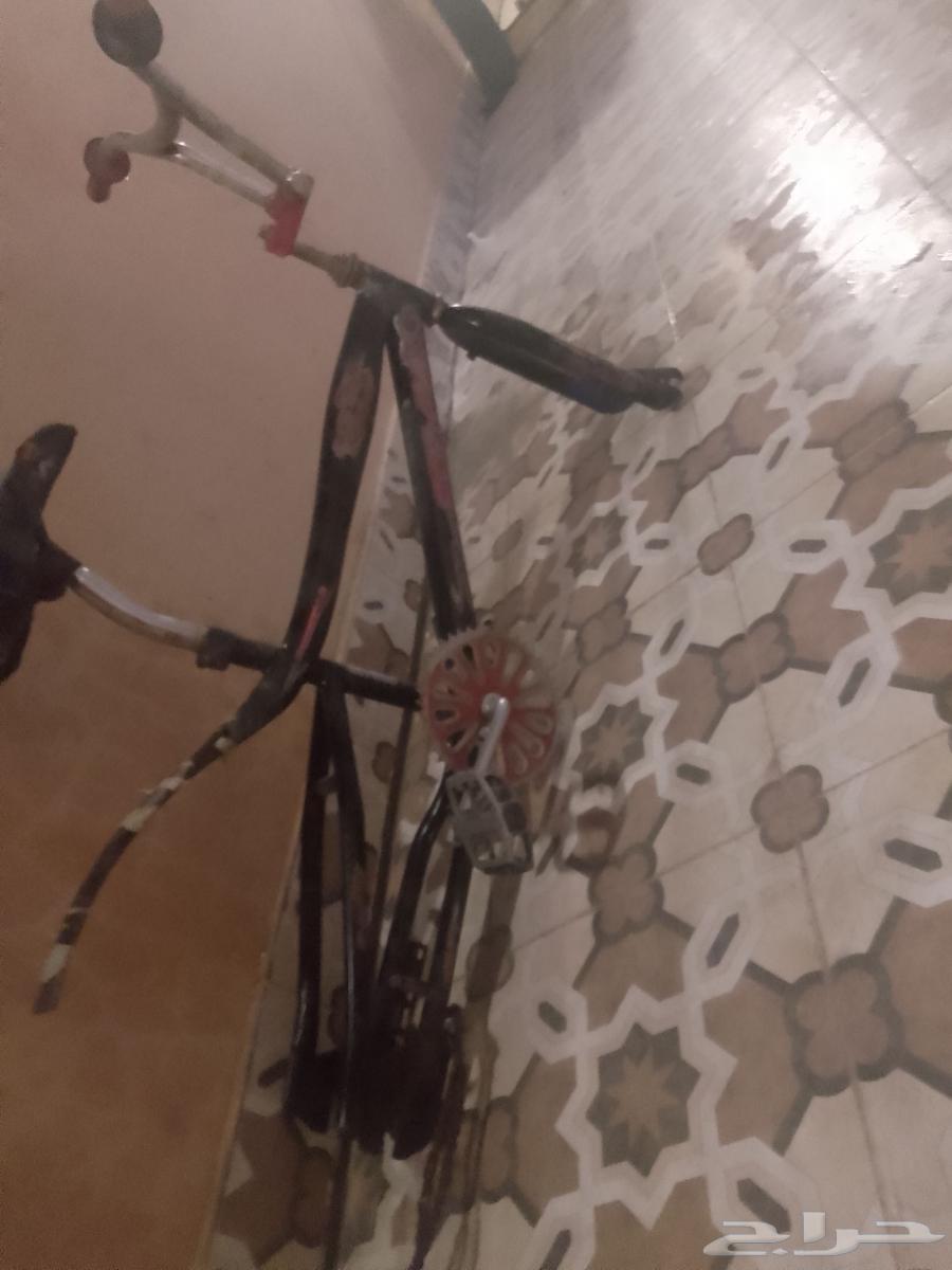 البيع جسم كوبرا البيع مستعجل ولا بدل بزواج طيورحب سيكل نضيف630416201406731115