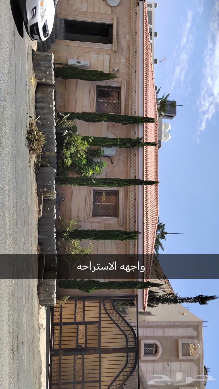 A complete rest area for sale63004099038466112