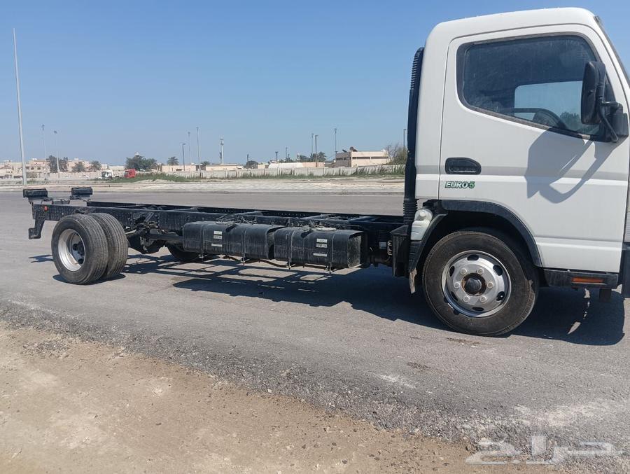 دينا شاصي طويل63169971945601114