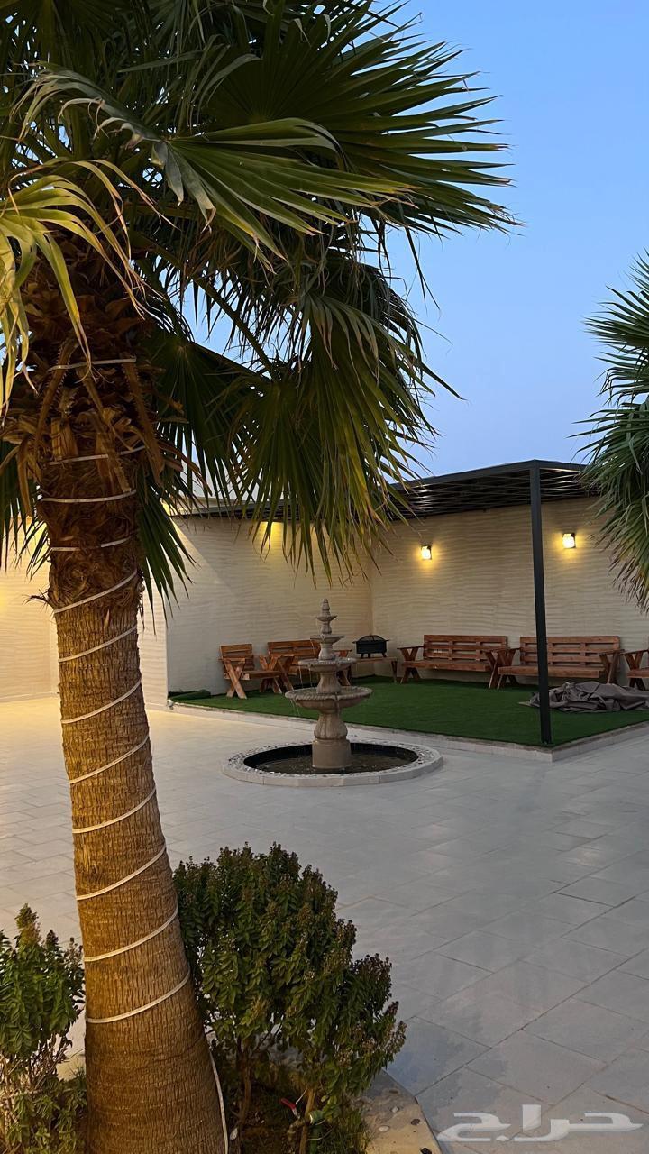 Villas in southern Riyadh63016086505986112