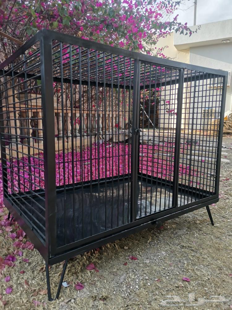 Cat cage63109355280386112