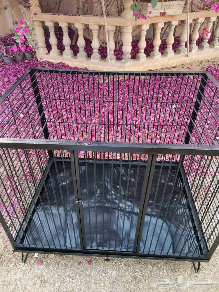 Cat cage63109355280386114