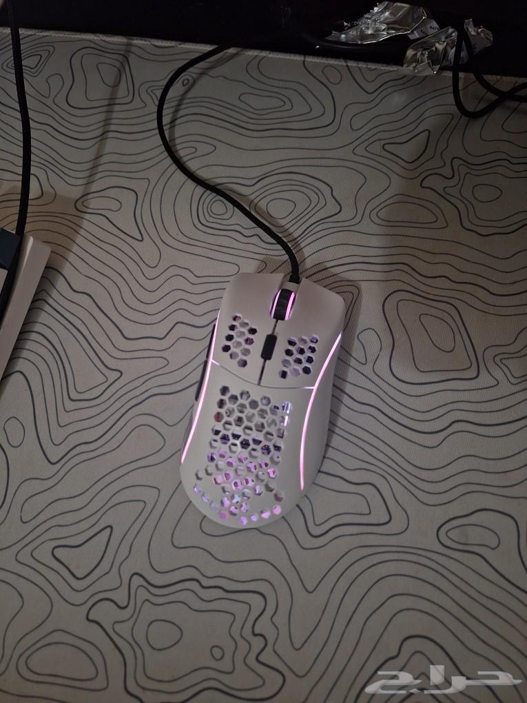 Gloris Mouse Model D631104499173131119