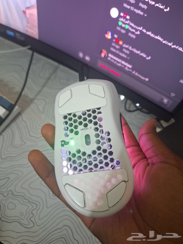 Gloris Mouse Model D63110449917313113