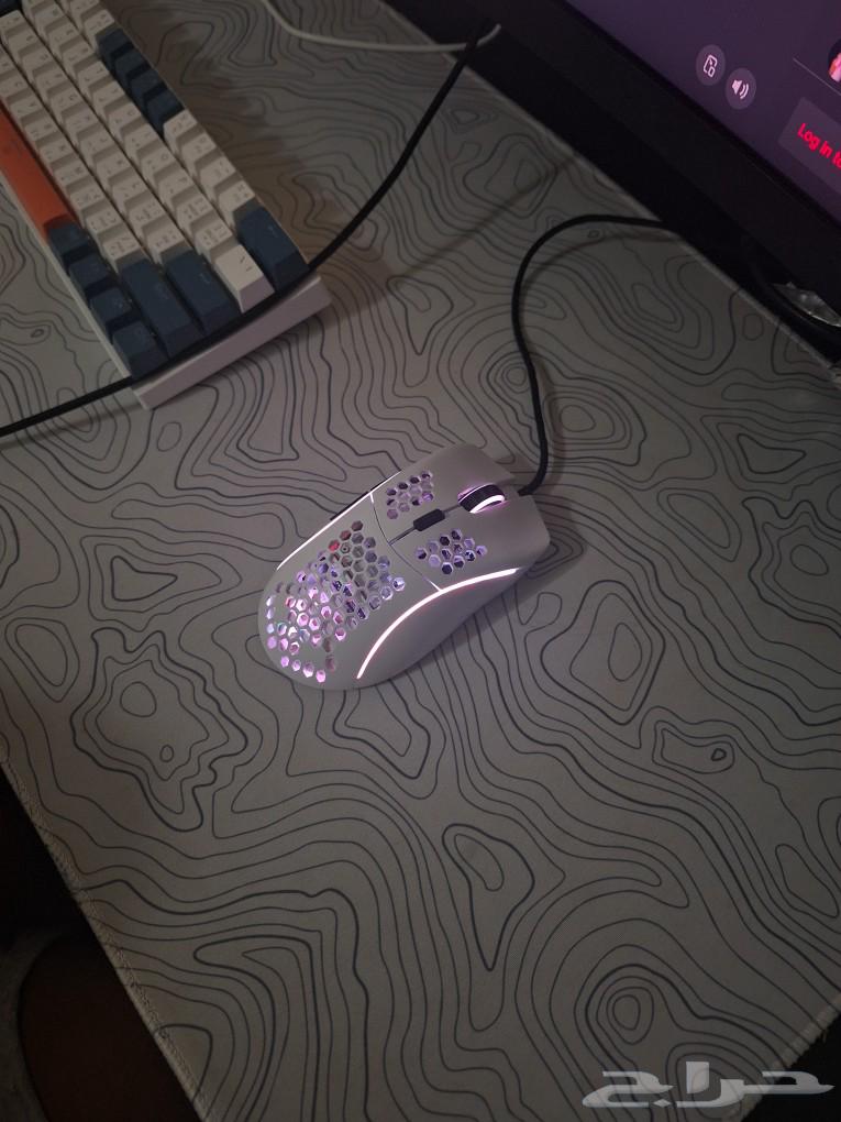 Gloris Mouse Model D63110449917313111