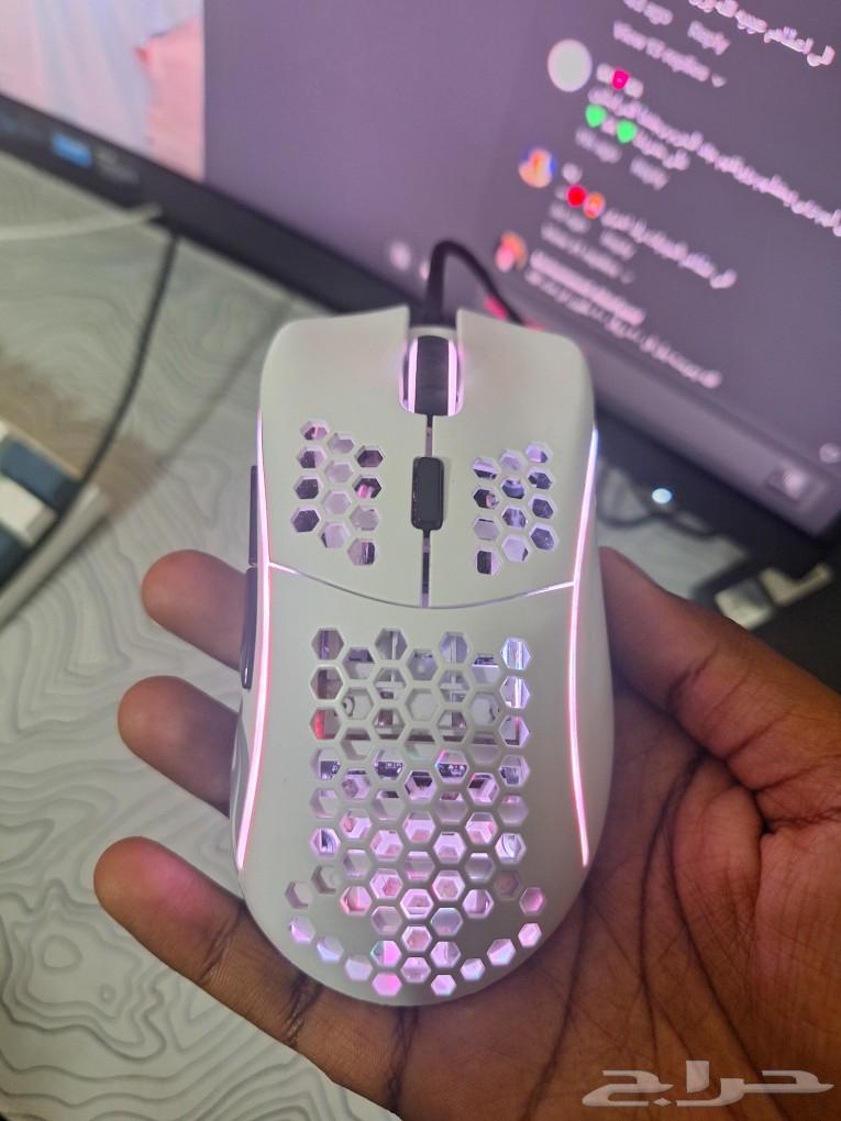 Gloris Mouse Model D63110449917313114