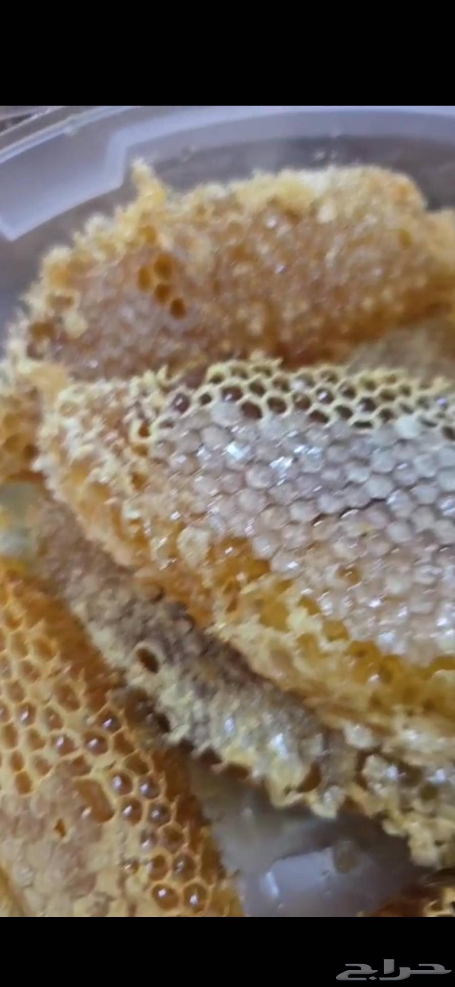 Brown honey wax new product. Price per kilo 300 riyals63078537724162113