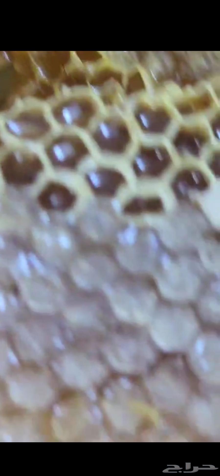 Brown honey wax new product. Price per kilo 300 riyals63078537724162114