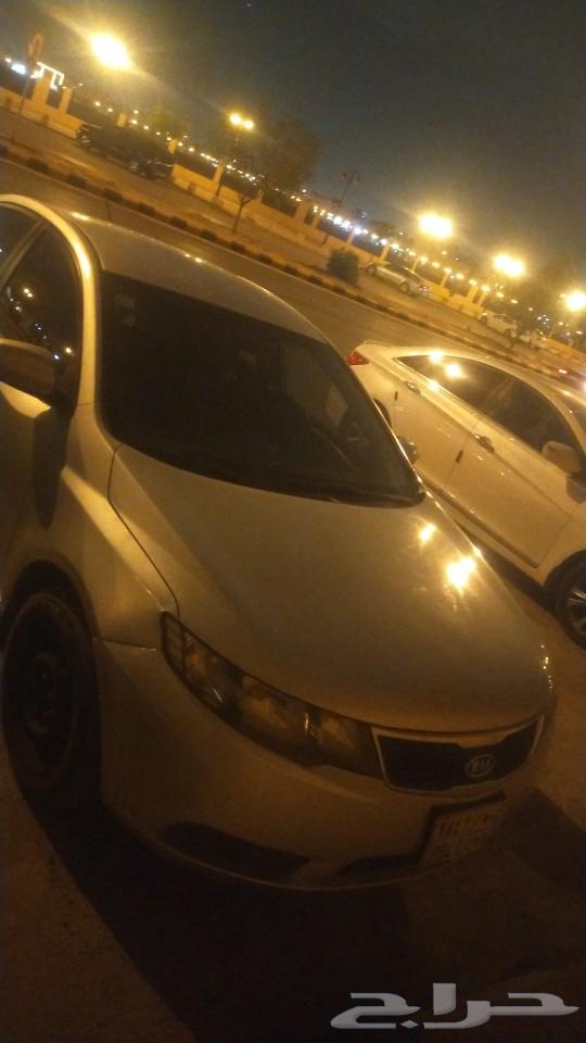 Cerato 201363056256416899111