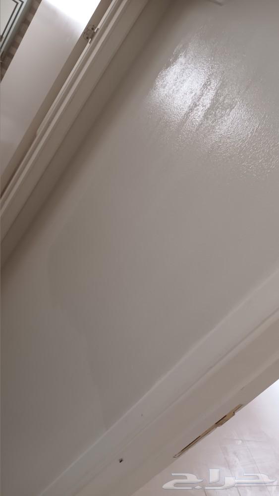 Interior and exterior paint technician63054716466690111