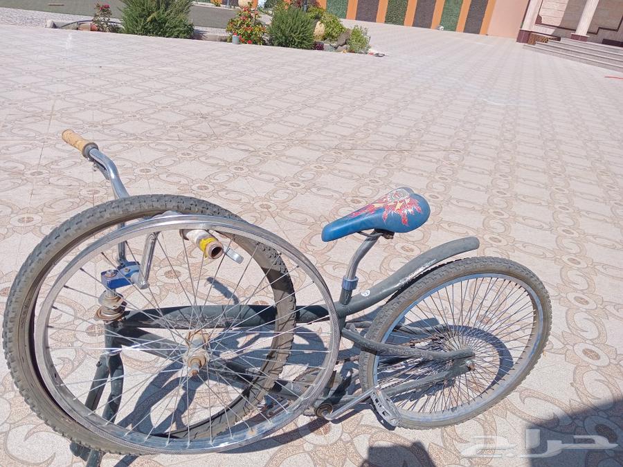 A 26-inch bike, very nice thank God, for sale for 150 riyals. Location: Najran.631090166749451114