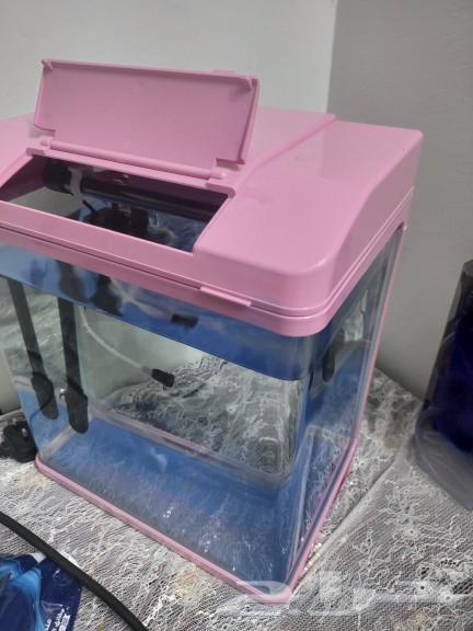 Fish tank63107902704771113