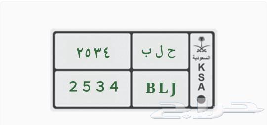 لوحة مميزة لعشاق سوريا مدينة حلب634439721326101121