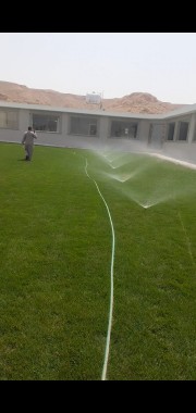 تركيب الثيل الطبيعى63018197388418113