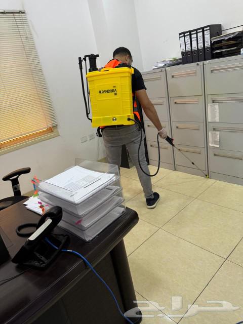 شركه الجزيره لجميع مكافحه الحشرات بانواعه630181984492831129