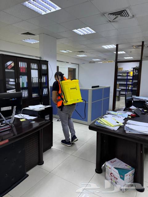 شركه الجزيره لجميع مكافحه الحشرات بانواعه63018198449283111