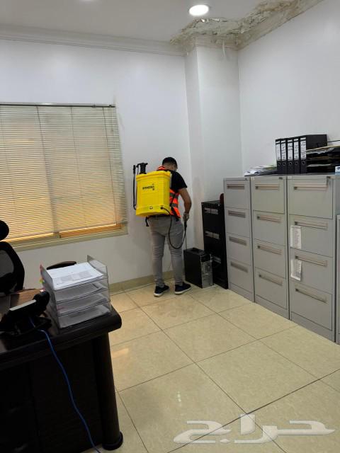 شركه الجزيره لجميع مكافحه الحشرات بانواعه63018198449283112