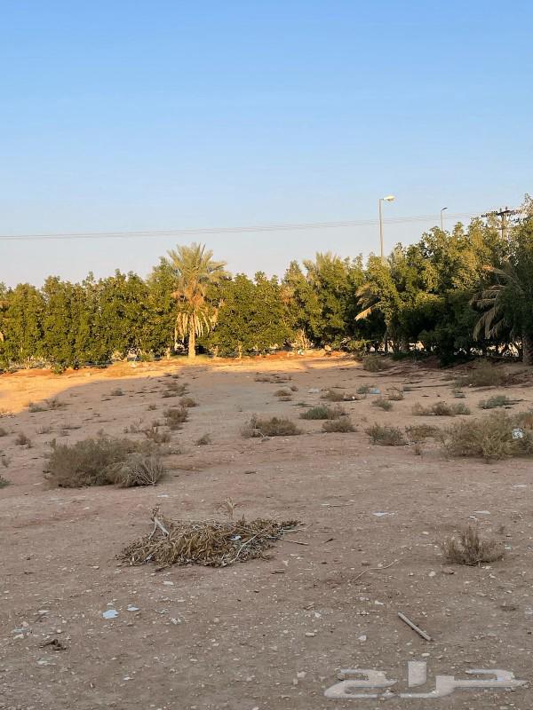 أرض سكنيه للبيع في الخرج حي العدامه630147497384971116