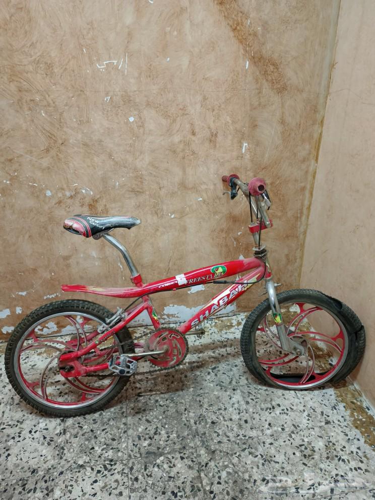 سيكل كوبرا اصلي للبيع او للبدل ب رامبو63103815611138112