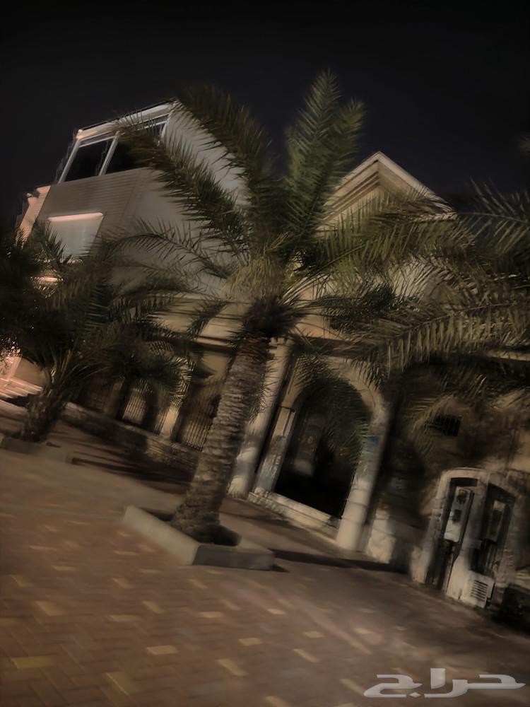 عاوز سيكل يكون مستعمل وسعرة خفيف63103835421057113