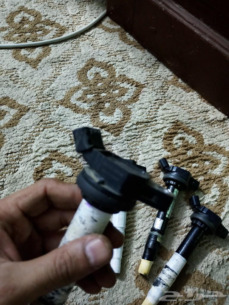 Corolla coils63158374364931112